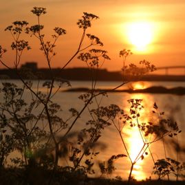 Solnedgang på smøla med hav og bro i bakgrunnen