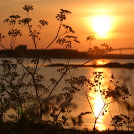 Solnedgang på smøla med hav og bro i bakgrunnen